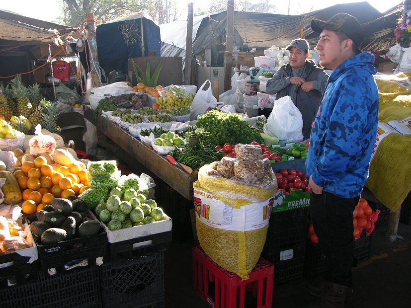 Canino Farmers Market 2520 Airline  (23)